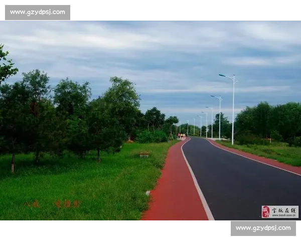 绿茵场的乡愁：我们爱的是家乡