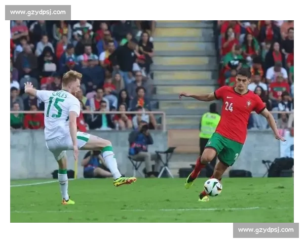 威尔士对阵爱尔兰的力量碰撞与战术博弈全面前瞻解析国际赛场焦点之战